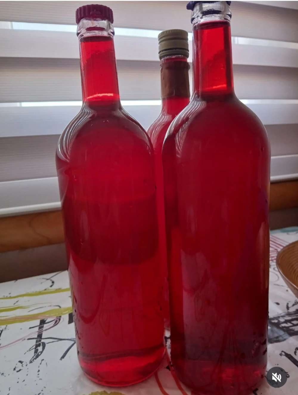 Sirupi na razblaživanje (borovnica,malina, kopriva,maslačak , višnja)